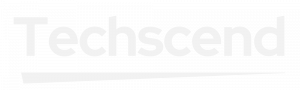 Techscend Ltd Company Logo in Grey